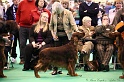 Crufts2011_2 038